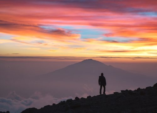 Kilimanjaro climbing Success Rate.