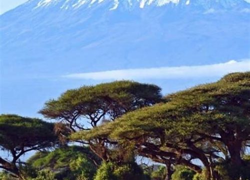 Kilimanjaro climbing routes