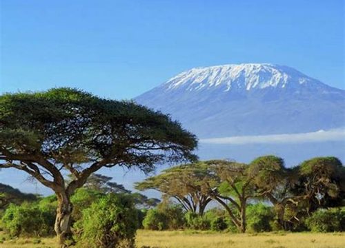 Best time to climb Kilimanjaro