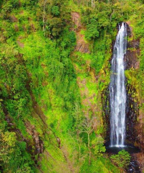 MATERUNI WATERFALL & COFFEE TOUR