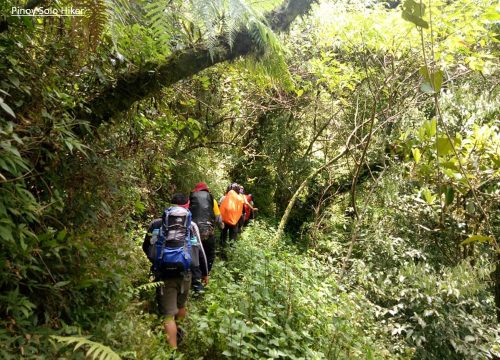 7 DAYS MOUNT KILIMANJARO RONGAI ROUTE