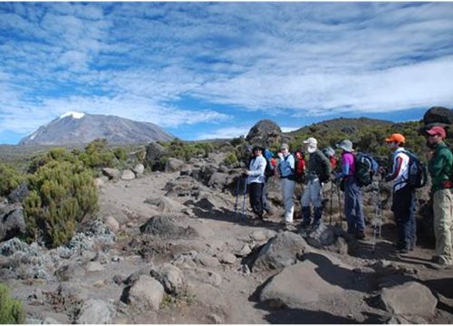 9 DAYS MOUNT KILIMANJARO NORTHERN CIRCUIT