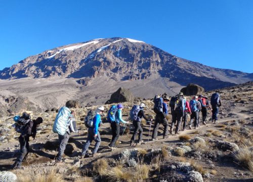 8 DAYS MOUNT KILIMANJARO LEMOSHO ROUTE