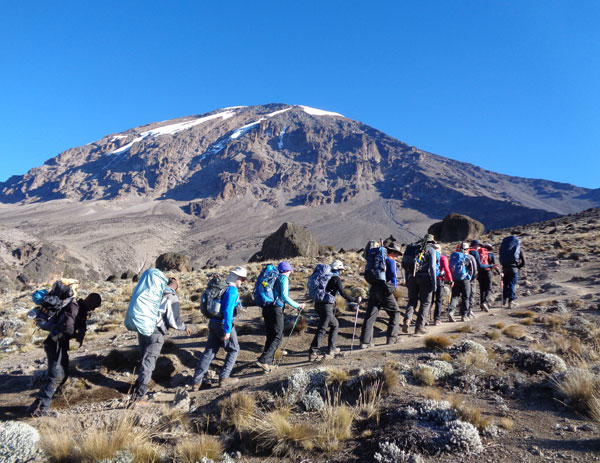 8 DAYS MOUNT KILIMANJARO LEMOSHO ROUTE