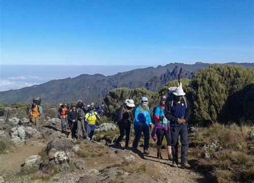 AFFORDEBLE 6 DAYS MOUNT KILIMANJARO MARANGU ROUTE