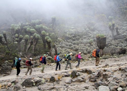 7 DAYS MOUNT KILIMANJARO LEMOSHO ROUTE