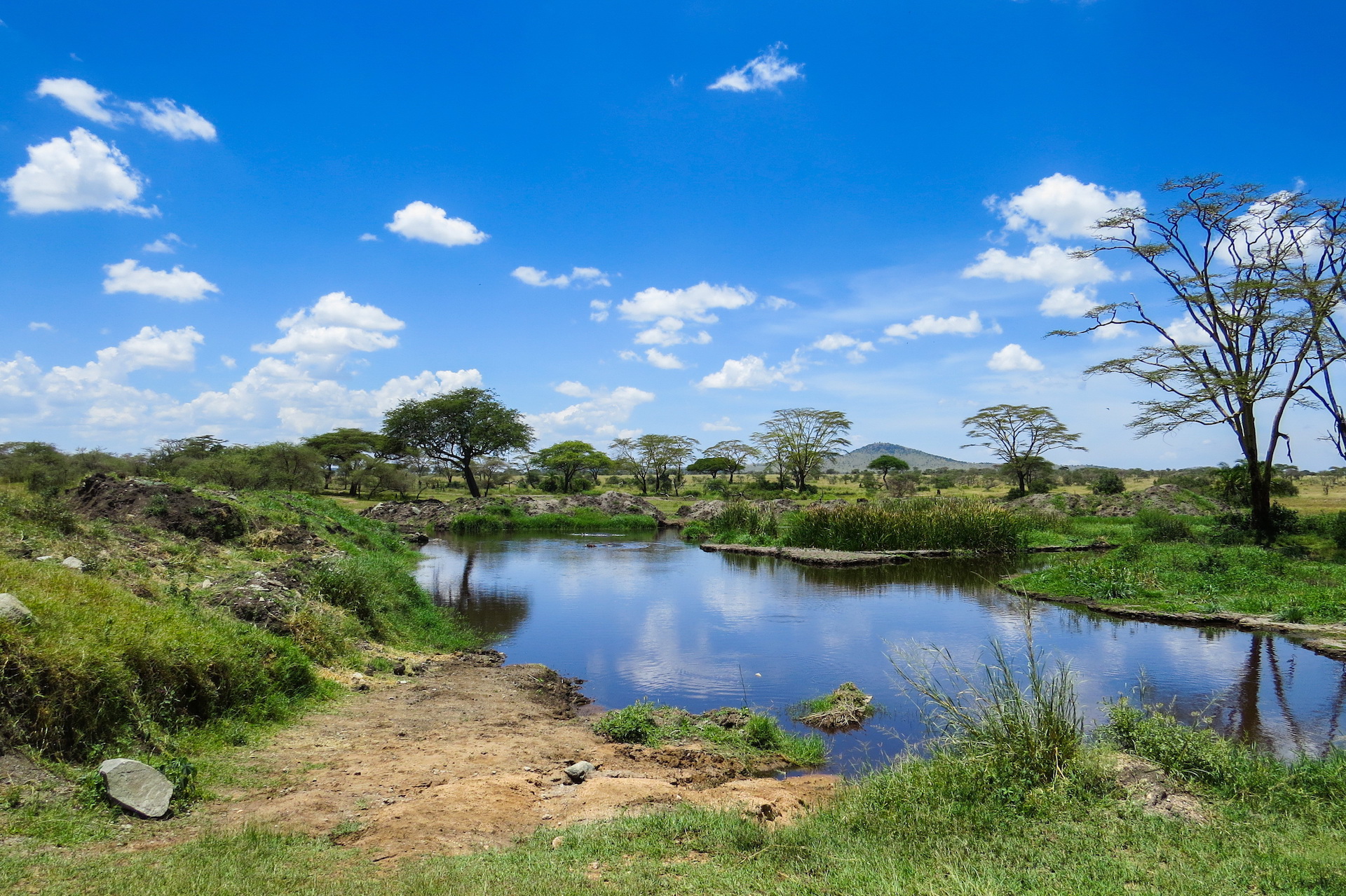 Lake Manyara 