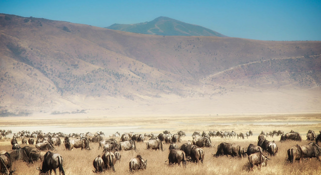 Ngorongoro Crater 