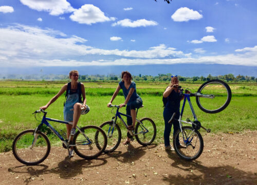 Moshi climbing with bike tour