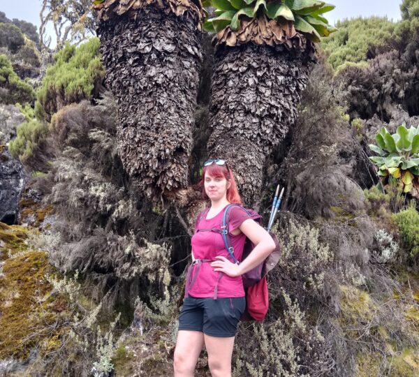 Kilimanjaro climbing